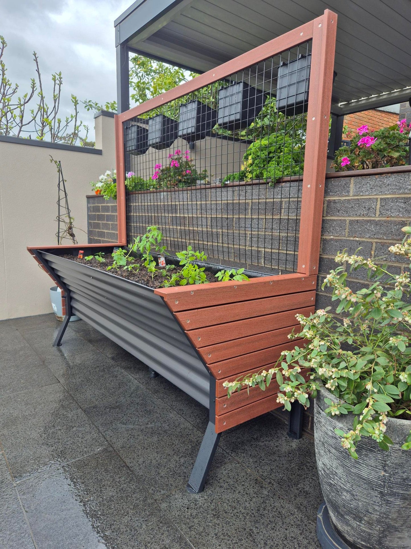 Incare 5-Cell Eco Board Wicking Planter Box