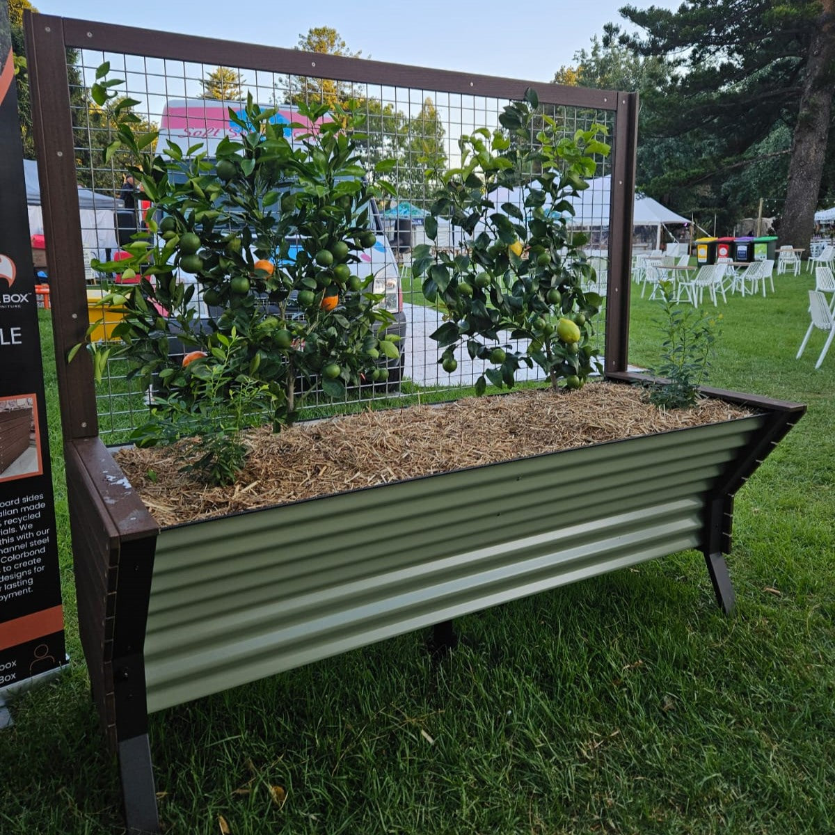 Incare 5-Cell Eco Board Wicking Planter Box