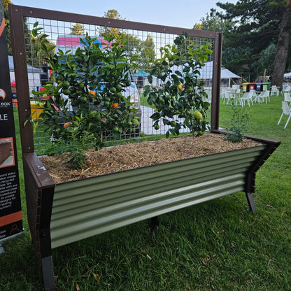 Incare 5-Cell Eco Board Wicking Planter Box