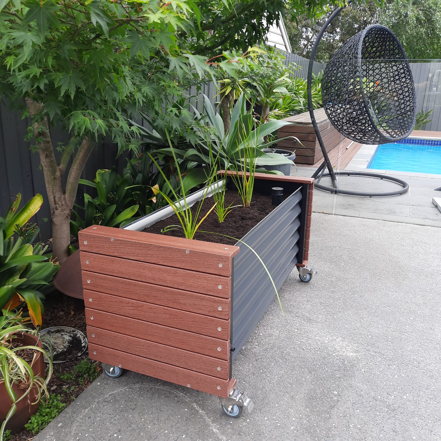 Artesian Range Eco Board Wicking Planter Box installed in a lush garden setting, showcasing its sustainable WaterUps technology, eco-friendly design with 92% recyclable materials, and water-saving benefits ideal for balconies, courtyards, and outdoor spaces